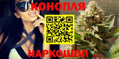 дурь Усть-Джегута