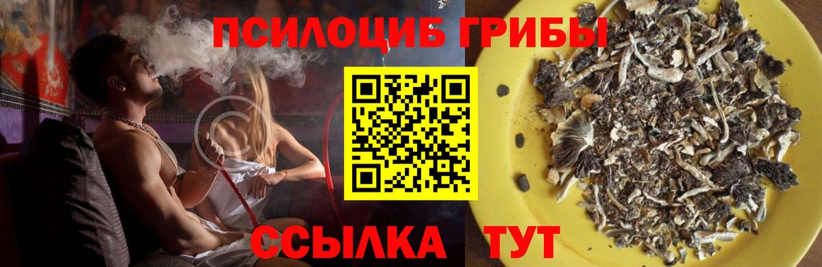Галлюциногенные грибы GOLDEN TEACHER  Вход с VPN  Владивосток 